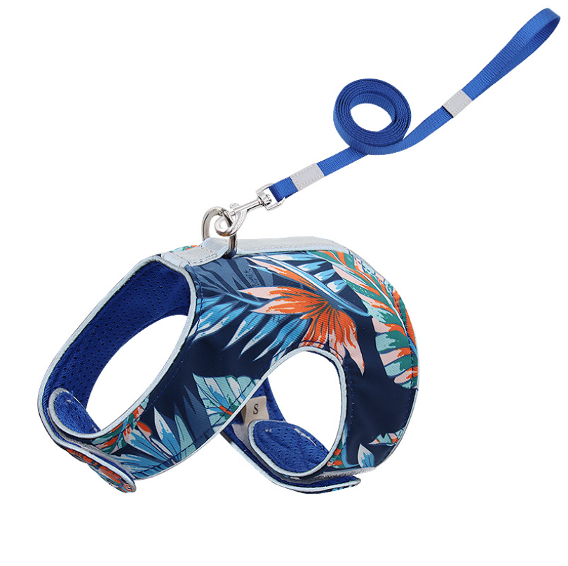 Pet Harness And Leash Set