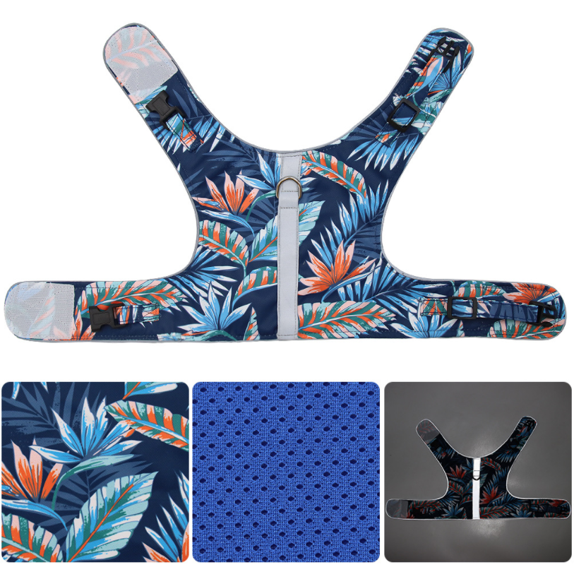 Cat Harness And Leash Sey T