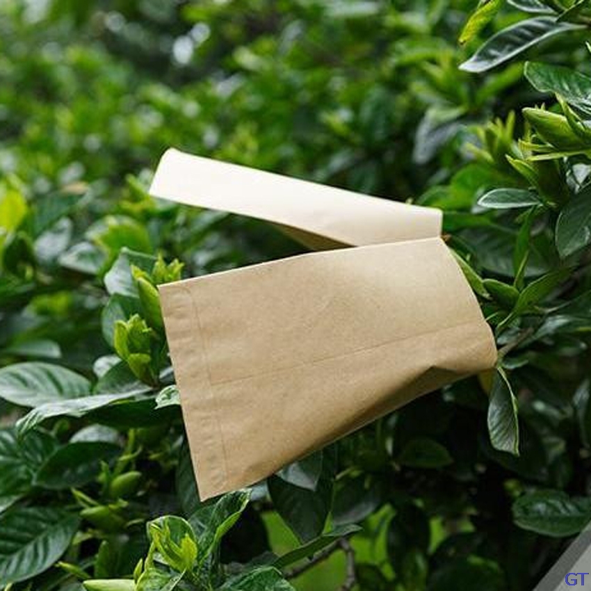 100pcs LxW: 12x18cm kraft paper brown seed bag crop pollination isolation sack seed packaging/grow/protective bags