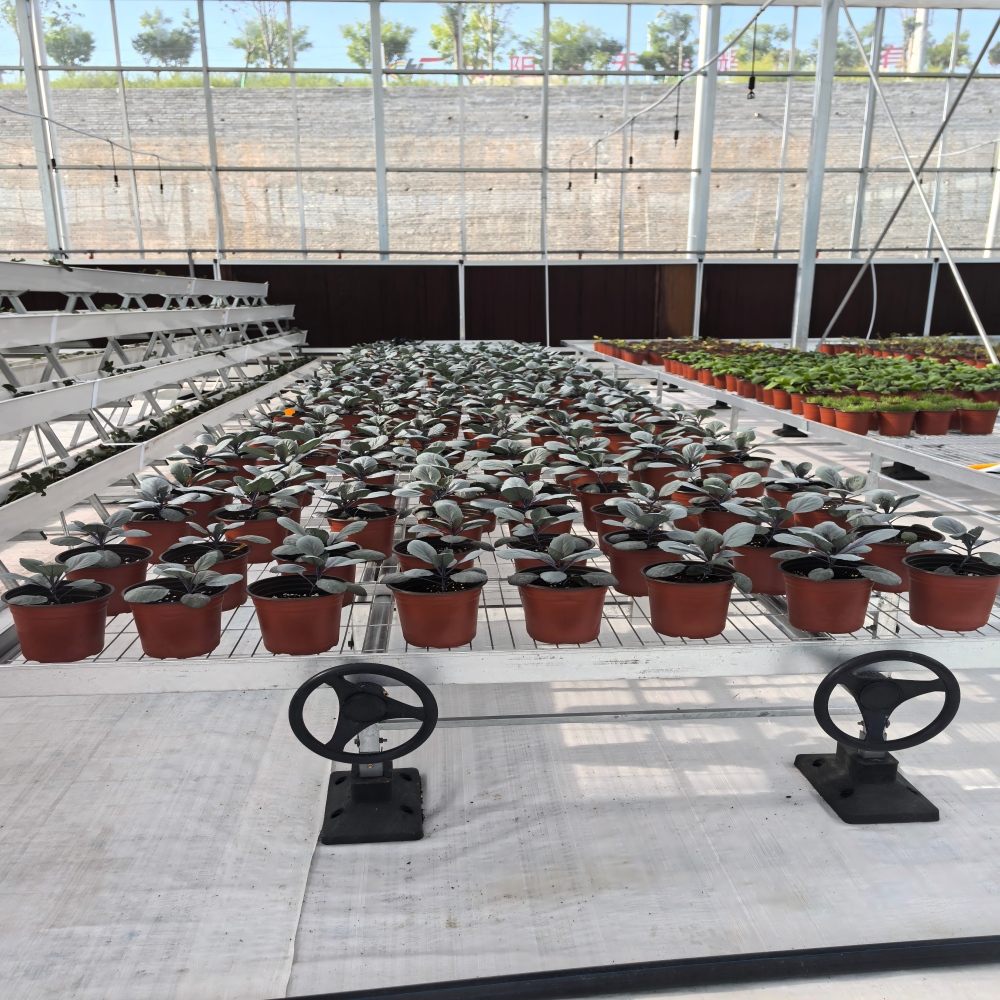 Glass Greenhouse-13