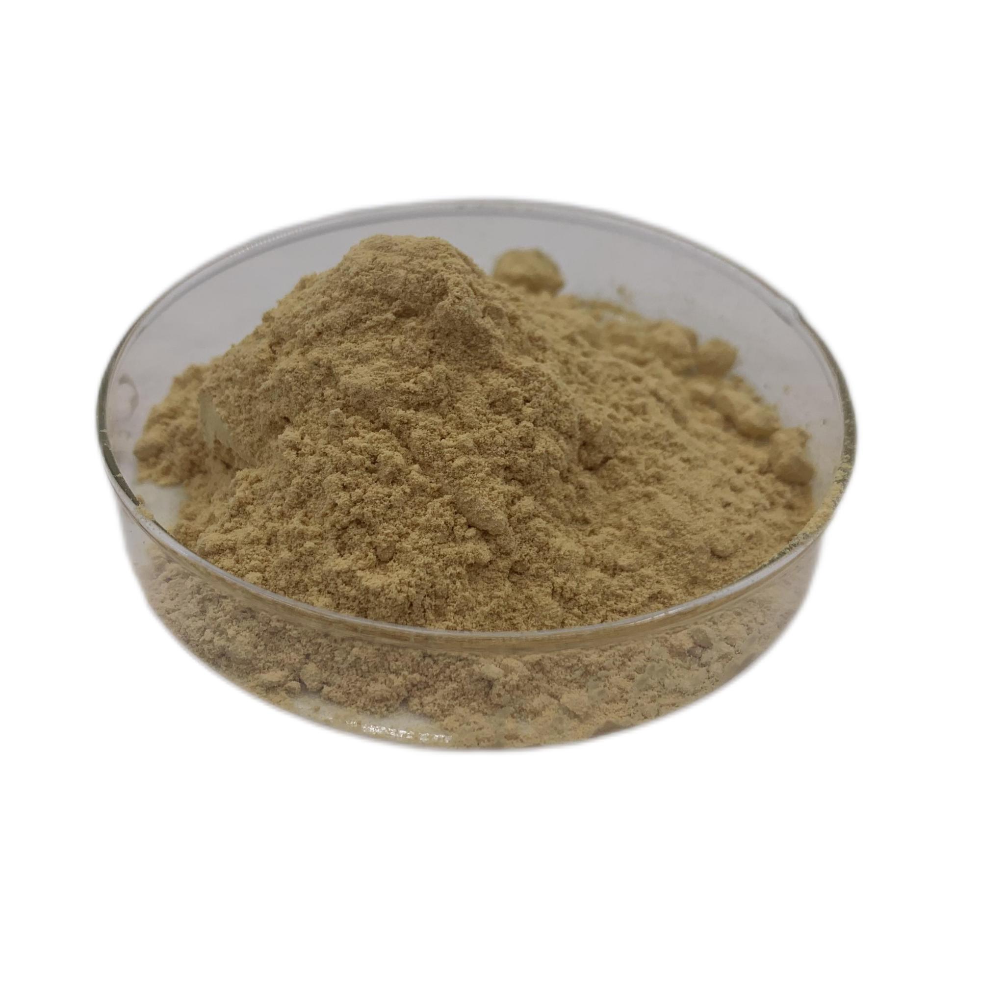 Pueraria kudzu 11