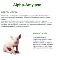 Feed additive enzyme concentate alpha amylase
