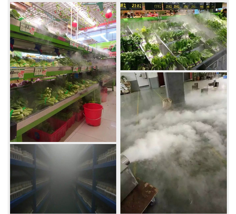250W Ultrasonic mist maker fogger 10 head humidifier +transformer 4.5kg/h Ultrasonic nebulizer for fresh vegetables