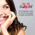 Organic Castor Oil Eyelash Growth Serum Natural Plant Essence Conditioning Oil for Lashes Brows with Mascara Brushes