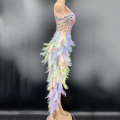 Colorful Crystals Sequins Pearls Feathers Slit Long Dress Stage Outfit Prom Birthday Celebrate Singer Dancer Costume DNV13732