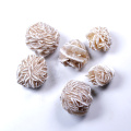 1pcs Beautiful Natural crystal Fossil Quartz Crystal Desert flower Decoration Crafts Natural Stones and Minerals