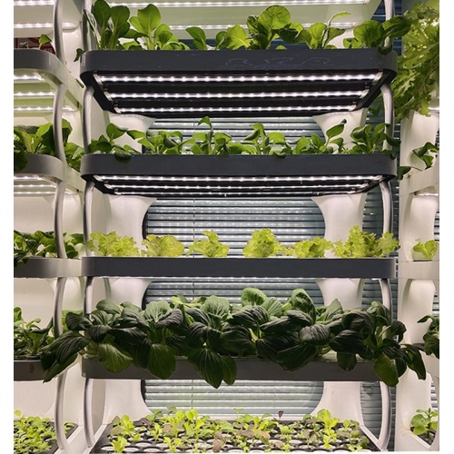 Spectrum smart vertical indoor hydroponic growing system Manufacturers and Spectrum smart vertical indoor hydroponic growing system Suppliers