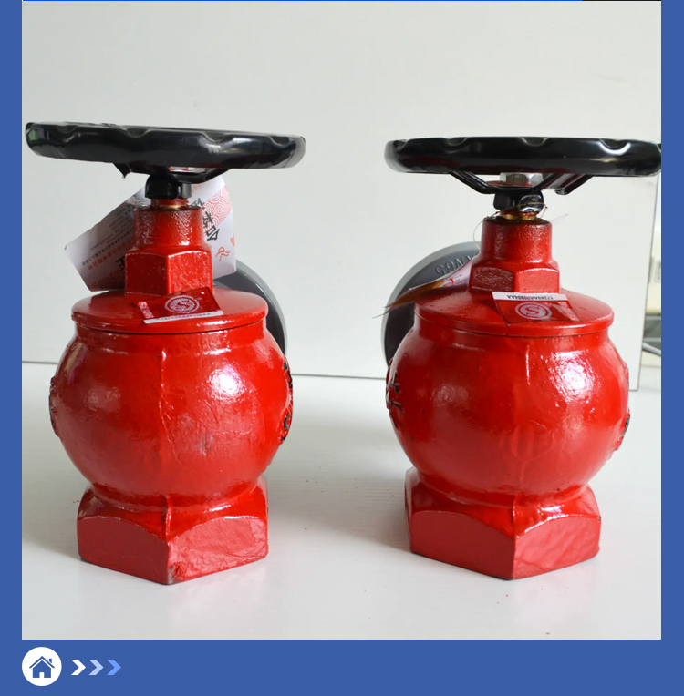 Indoor fire hydrant