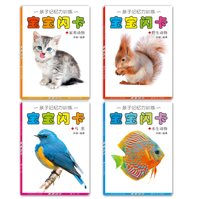 80 Pcs English Plurals Kids Montessori English Word Pocket FlashCards Game Preschool Learning Educational Toys For Children Game