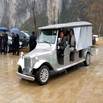 Limited Edition Mintage Car Models