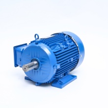 Electric motor 3000 RPM for textile machinery