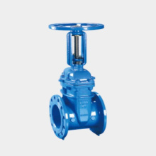 Rising stem elastic seated gate valve