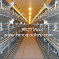 Broiler Chicken Cages For Poultry
