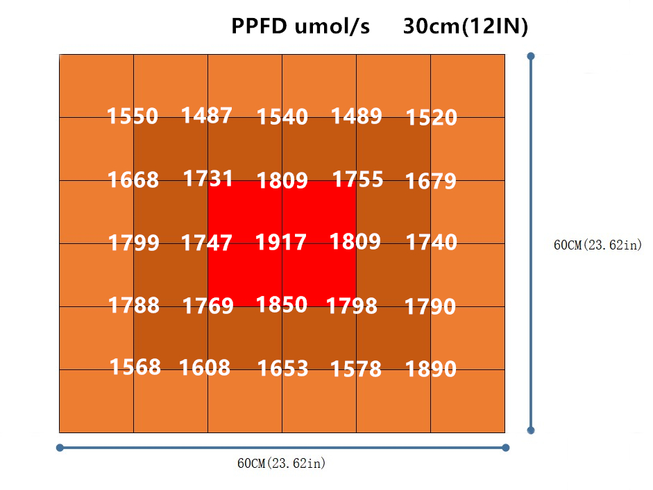 Full Spectrum high ppfd