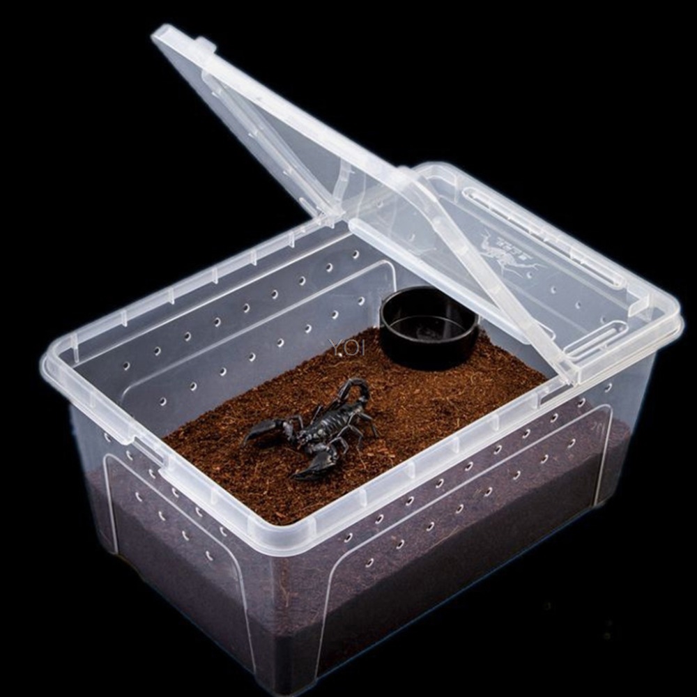 Terrarium for reptiles Transparent Plastic Box Insect Reptile Transport Breeding Live Food Feeding Box