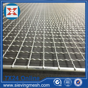 Barbecue Wire Mesh/ Netting
