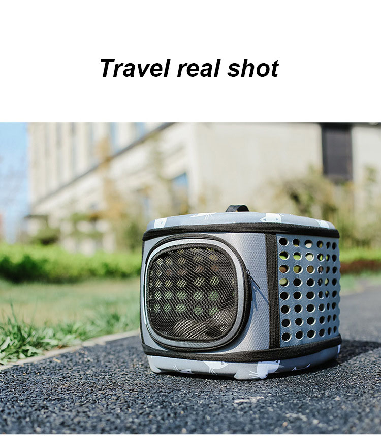 Pet Travel Carrier