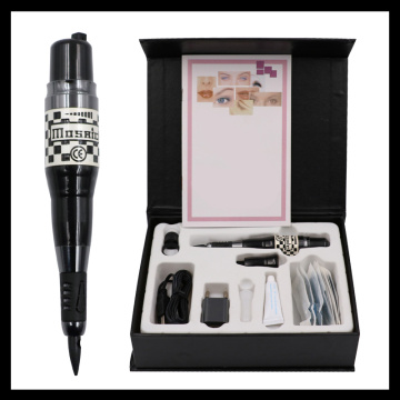 1 set Small Permanent Makeup USA mosaic tattoo machine kit Complete Cosmetic Tattoo Kits With Tattoo Gun Needles Caps