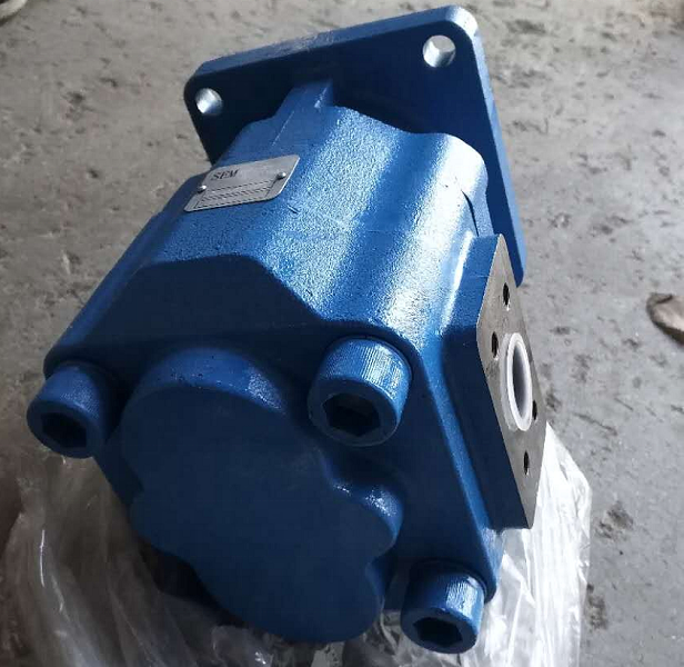 W061700000 Gear Pump for SEM650B