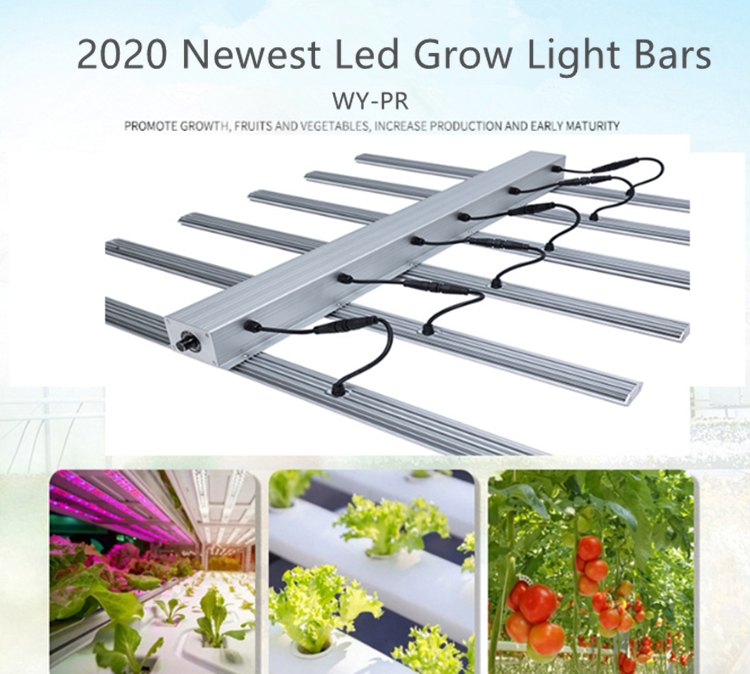 2021 grow light