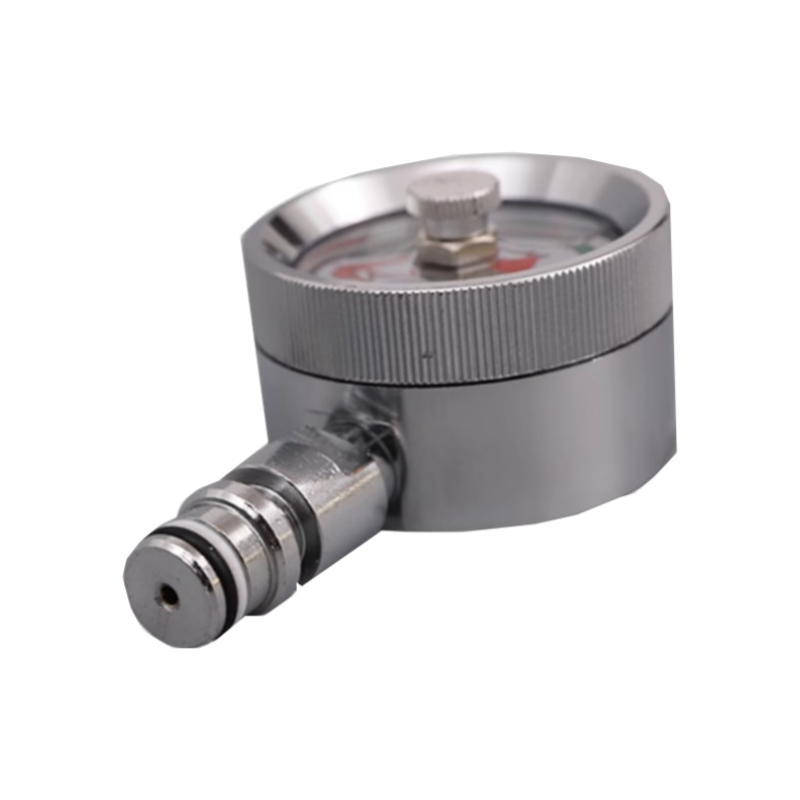 Double Needle Pressure Gauge