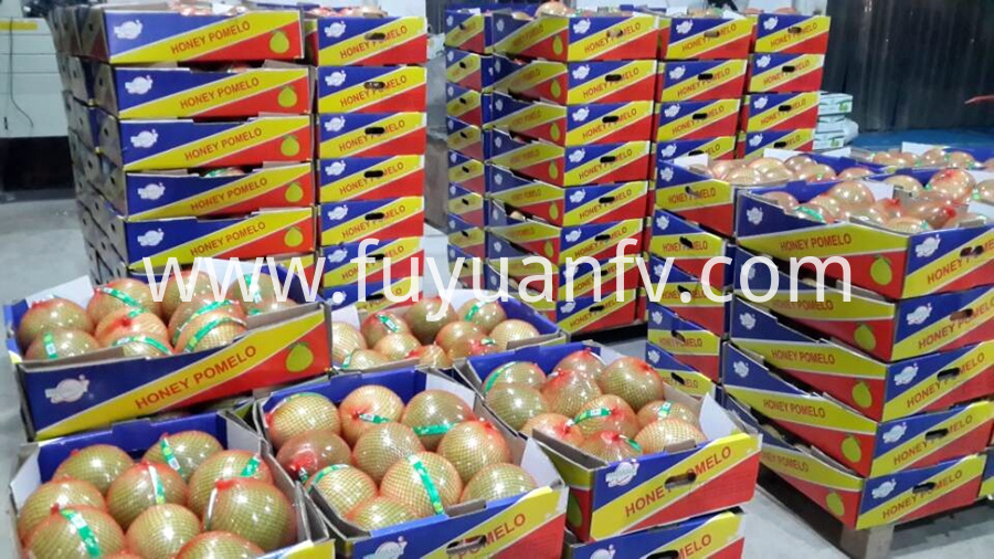 open box ho<em></em>ney pomelo open box ho<em></em>ney pomelo