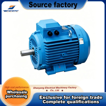 High Efficiency Motor for Continuous Industrial Operation