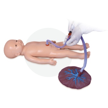 Umbilical Cord Nursing Simulator(Male)