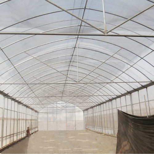 Large 10m Tunnel Plastic Film Greenhouse Manufacturers and Large 10m Tunnel Plastic Film Greenhouse Suppliers