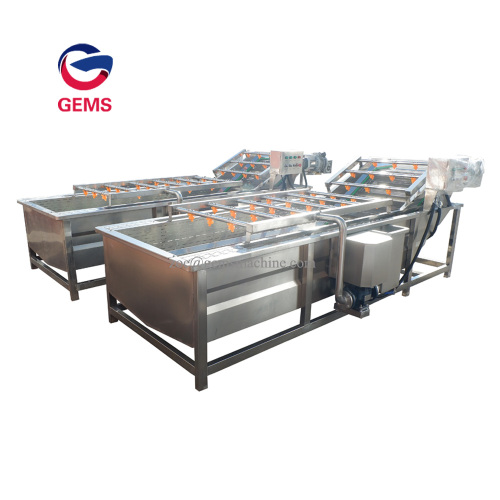 Steam Cococnut Cleaning Machine Olive Cleaning Machine for Sale, Steam Cococnut Cleaning Machine Olive Cleaning Machine wholesale From China