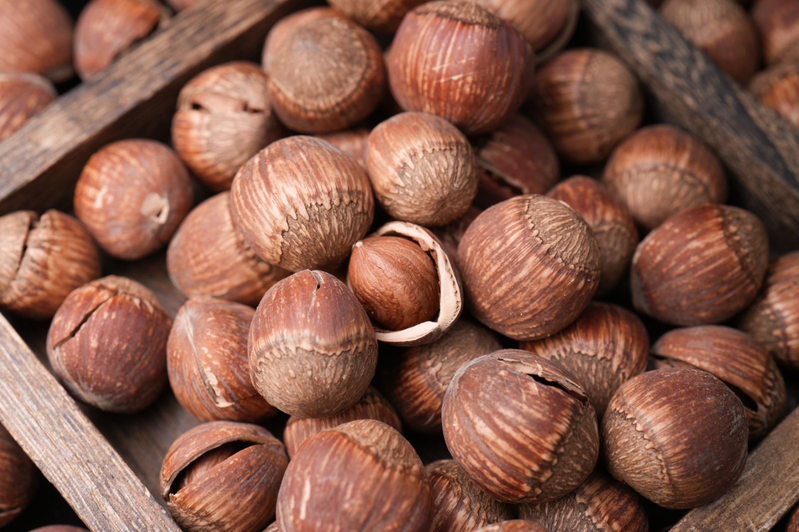 Delicious Roasted Hazelnuts Products