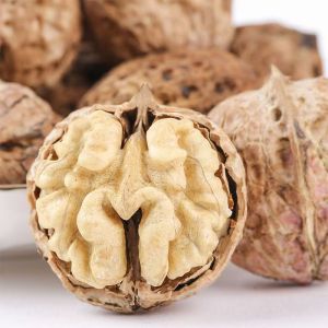 Yunnan Walnut Fresh Fruit Selection
