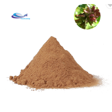 Chinese Gallotannin Extract Buy Tannic Acid Powder