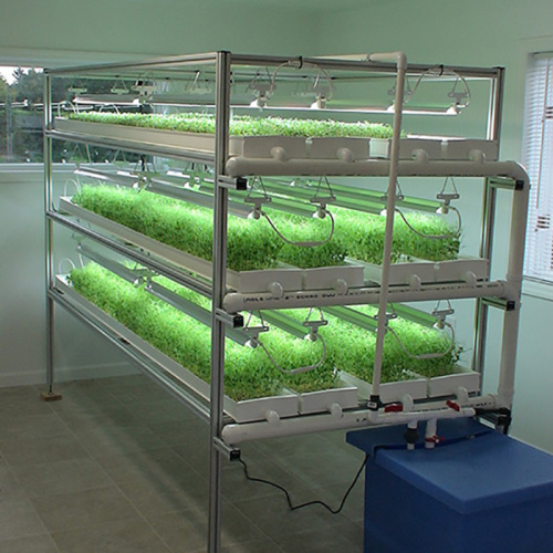 Large Scale Hydroponic Microgreen Rack Manufacturers and Large Scale Hydroponic Microgreen Rack Suppliers