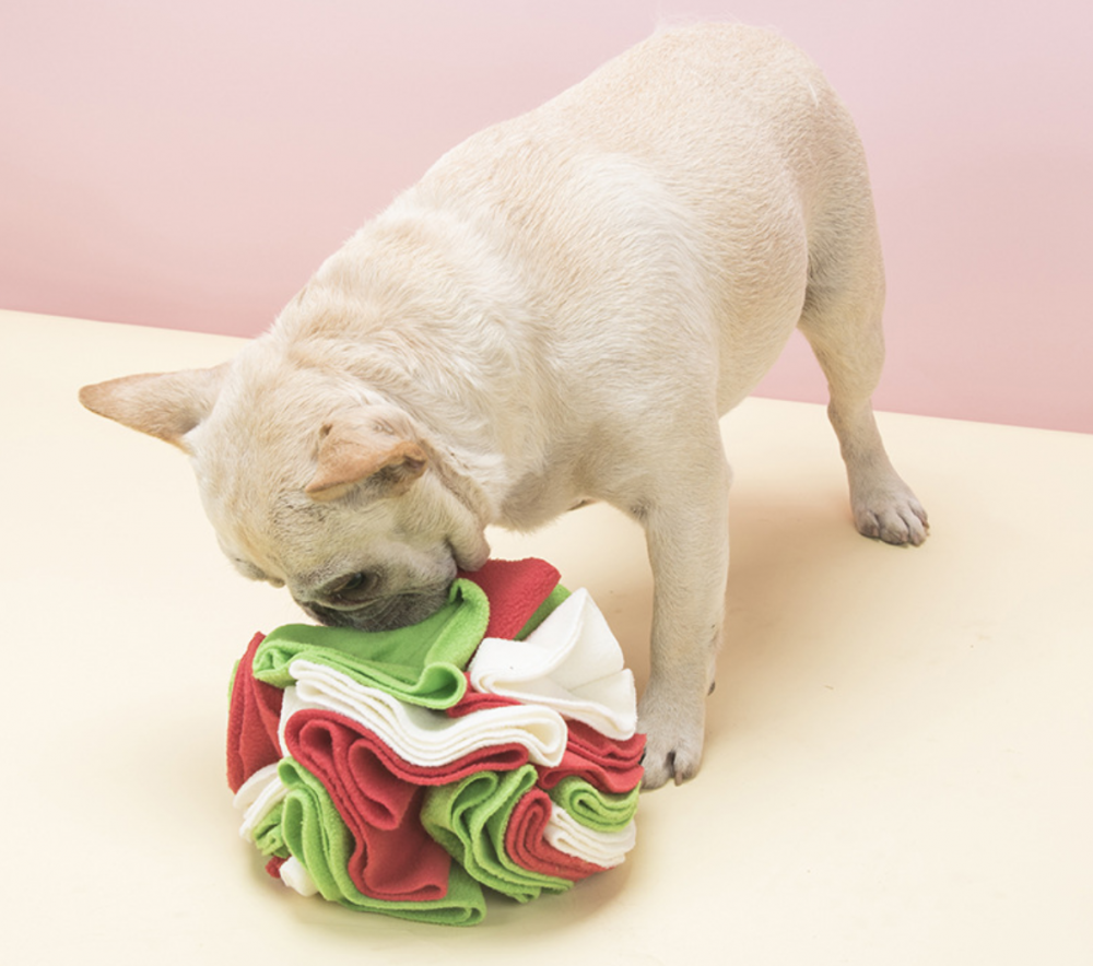 Snuffle Mat Dog Toy