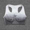 Sexy Sports Bras Women Seamless Fitness Workout Clothes Shockproof Women's Underwear Female Push Up Bra Gym Cropped Top Training