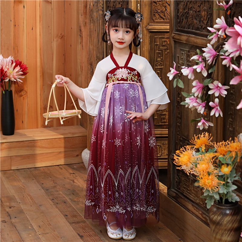 Cosplay Chinese HanFu Girl Fairy Outfit Girls Dress Children Traditional Chinese Clothing for Girls Hanfu