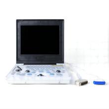Laptop ultrasound equipment for Shiba Inu Liver Disease