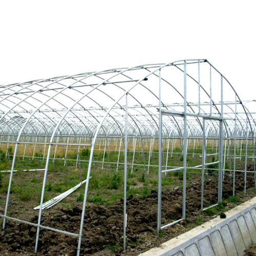 Large 10m Tunnel Plastic Film Greenhouse Manufacturers and Large 10m Tunnel Plastic Film Greenhouse Suppliers