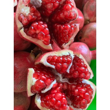 Fresh Premium Pomegranate for Family and Festive Market
