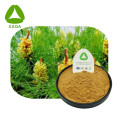 Pine Pollen Disruption Powder AntiAllergy Material