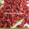 Factory Wholesale Dried Red Wolfberry