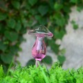New Cute House Plants Flowers Automatic Water Feeder Auto Watering Devices Transparent Glass Water Feeder 6 Shape