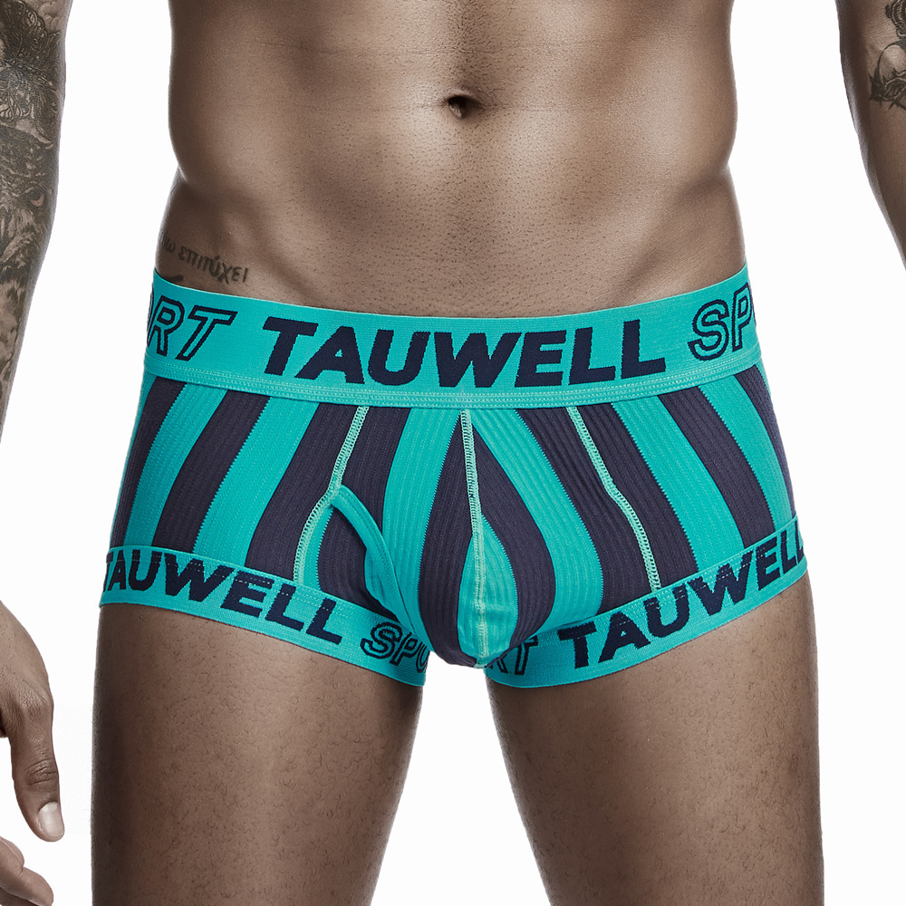 TAUWELL Men Boxer Briefs Sexy Underwear Striped Panties Low waist Male Underwear Boxer Shorts 2020 New Designed