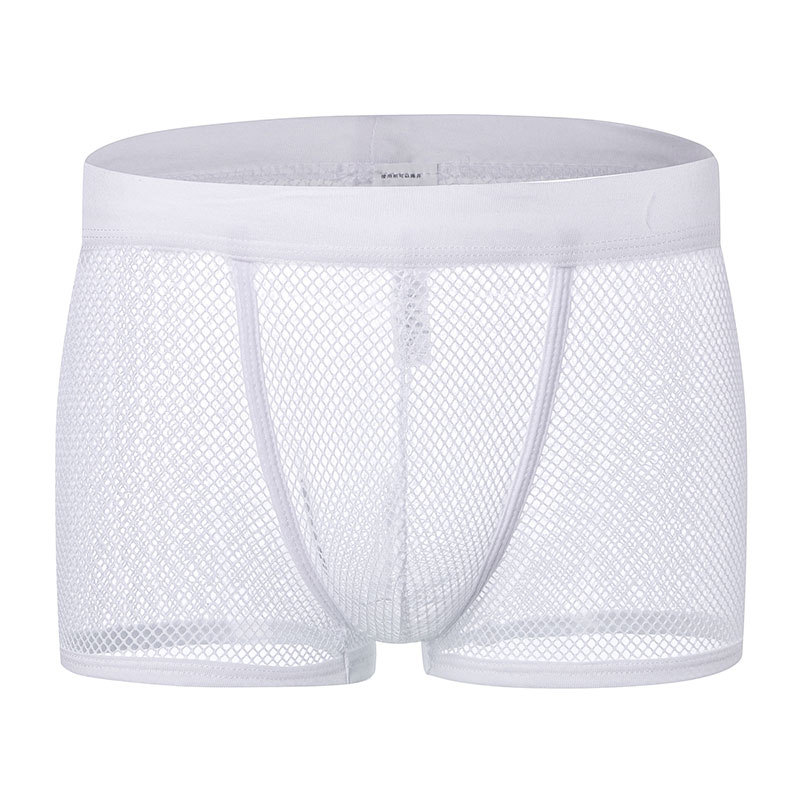 Mesh Underpants Low Rise Man Sexy Underwear 9 Color Sexy Mens Boxers Shorts Transparent Mesh See Through Net