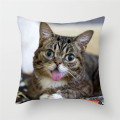 Fuwatacchi Cute Cat Printing Cushion Cover Animal Series Cushion Covers For Sofa Throw Pillow Car Chair Decorative Pillow Case