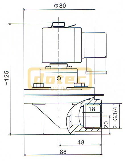 Dmf Z 20