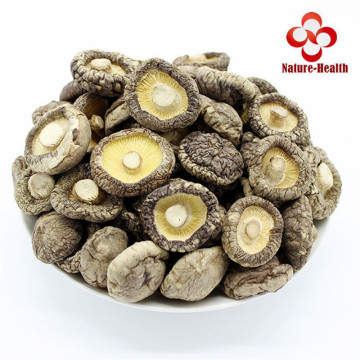 Dried Shiitake Mushrooms Premium Organic Grown Mushrooms Natural Food Fungus