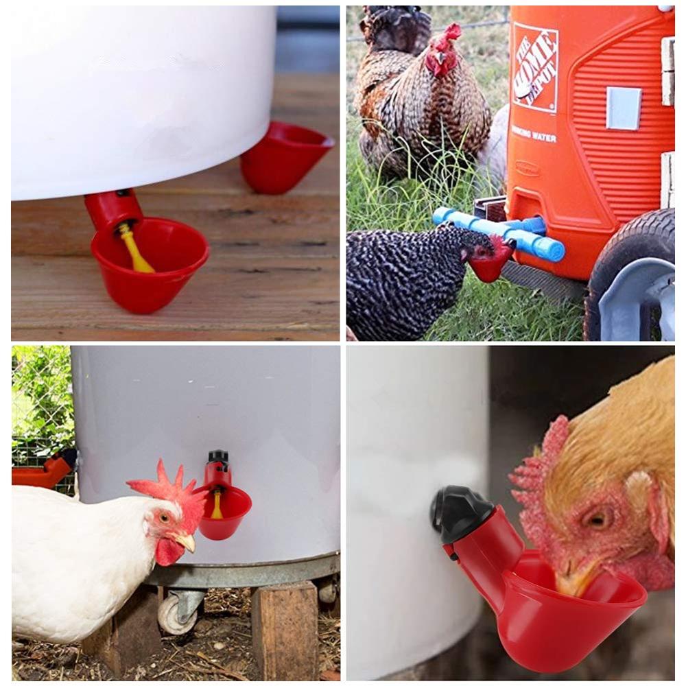 5Pcs Chicken Nipple Water Cup Drinking Fountains Birds Water Bowl Drinker Cups for Backyard Chicken Flock Poultry Watering