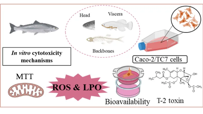 How does Enzyme Hydrolyzed Fish Protein compare to other proteins?